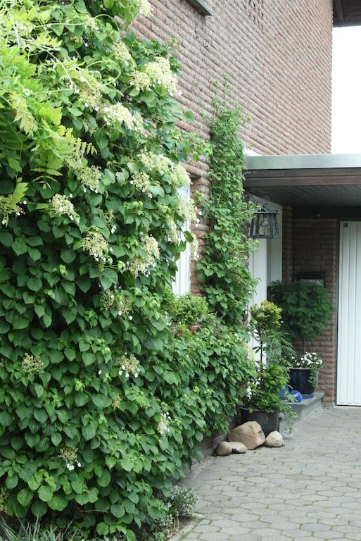 Ferienwohnung Illerhues Ascheberg  Ruang foto